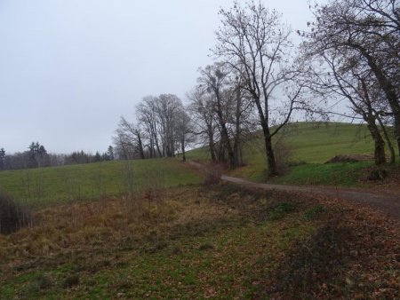 Au retour  sur le Chemin du Mérut