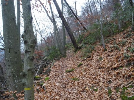 Sur le Sentier des Glaciers