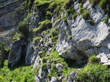 Le «Mur» ; la petite vire de l’année dernière