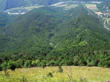 Dans la grande clairière : crête du Champ du Tun, à droite  -  crête des Roumines, à gauche  - ruisseau des Roumines, au centre