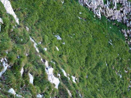 Dans le rétro, depuis le haut de l’échappatoire : cet entonoir herbeux = zone de réception en cas de besoin