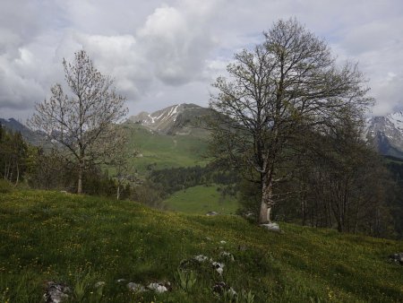 Face au Mont Lachat.