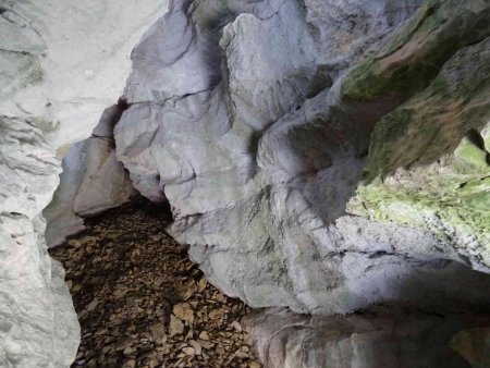 Une fois passé l’entrée, on se trouve dans un volume de quatre à cinq mètres de long et de haut. L’éclairage est naturel, dû à des ouvertures supérieures.