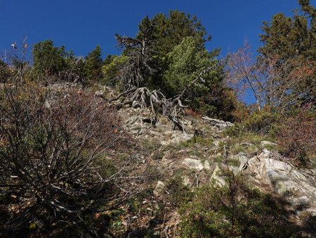 Erreur d’itinéraire, la sente monte plus à droite.