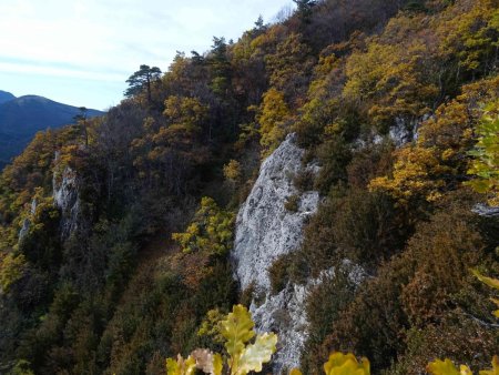 Plus haut, vue sur le flanc de l’arête est. Les falaises et la forêt rendent la progression quasi impossible. Il faut bien rester sur l’arête elle-même.