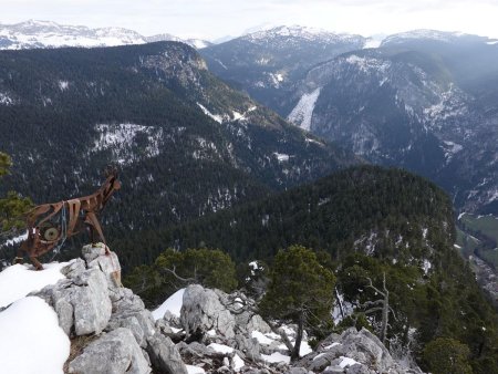 Le chamois n’a guère bougé depuis l’été passé.