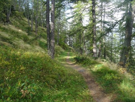 Sur le sentier vers le Lac de Soliet