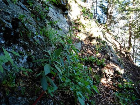 Dans le 3ème passage câblé, voici la corde qui a été installée.