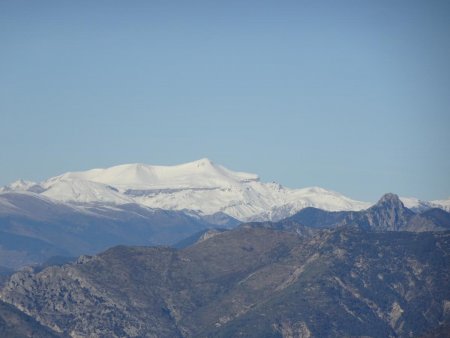 Vue depuis la Cime Gariglian : Mont Mounier