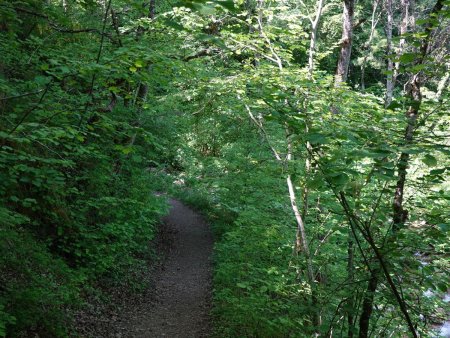 Descente vers le torrent...