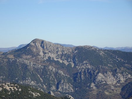  Vue depuis la Cime de Baudon : Grammondo