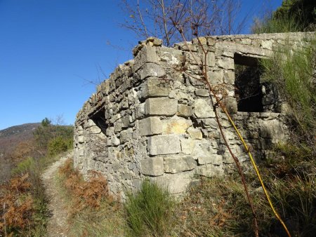 Dans la montée au Mont Ours