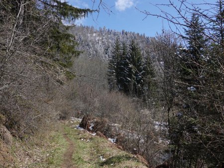 Sur le sentier avant de commencer la montée...