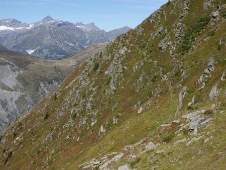 Une sente pour rejoindre la crête du Bec de la Cluy.