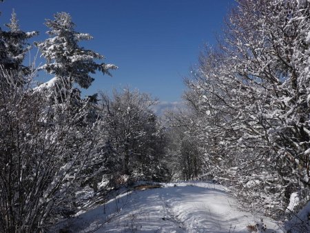 On poursuit plus loin sur la crête...