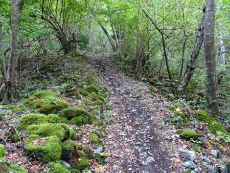 Début du sentier qui monte vers Oulles