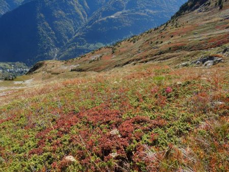 En-dessous, la longue pente inférieure de la combe de Pertunier