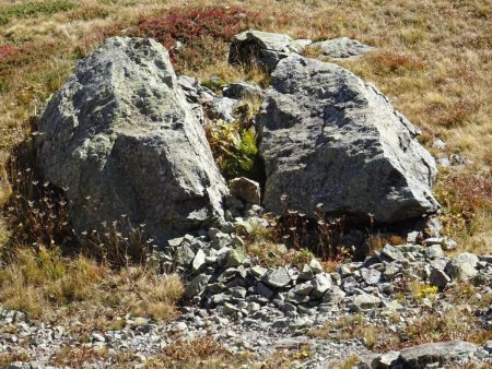 Au zoom, on voit qu’apparaît comme un reliquat de mur de pierres