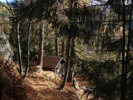 Montée en forêt...