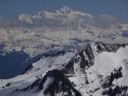 Un regard vers le maître des Alpes.