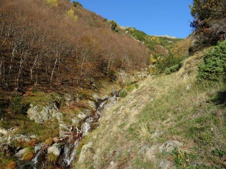 Et voilà : avec le soleil cela va encore mieux ! Quelle belle forêt, de l’autre côté !