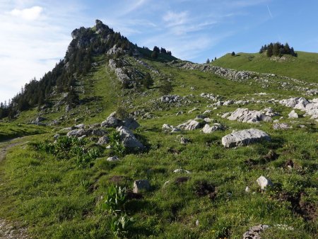 Depuis l’alpage de l’Aulp Riant Dessus, la Pointe de Talamarche, avec le début du sangle à gauche.