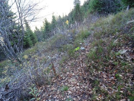 Agréable sentier dans la partie supérieure