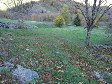 Dans les champs un peu au-dessus des Mazoirs