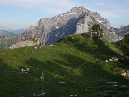 La petite prairie sommmitale de la Pointe de Talamarche.