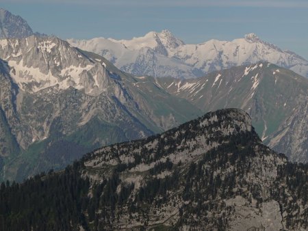 Au loin, le massif de Tré-la-Tête.