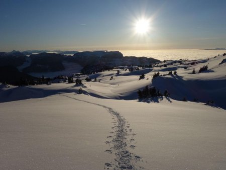 Cheminement dans le blanc...