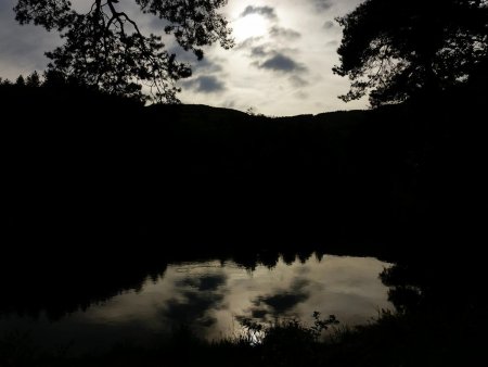 De retour au lac de Thurins.