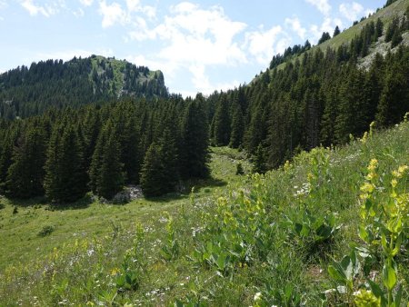 Direction le col de Cordon.