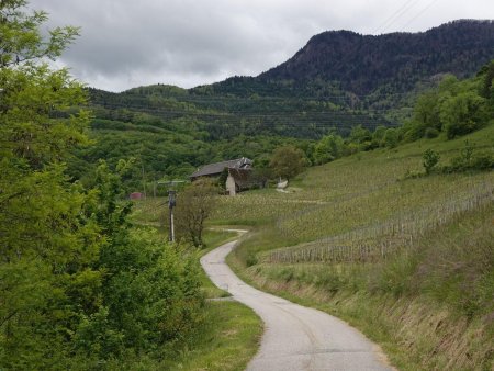 On poursuit la montée sur la petite route...