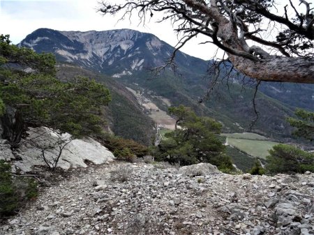 Arrivée sur la terrasse du Belvédère