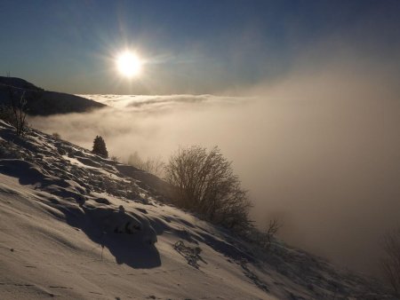 Dernier moment de soleil avant de plonger au dessous.