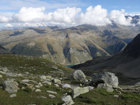 Retour bienvenu à un peu de verdure.