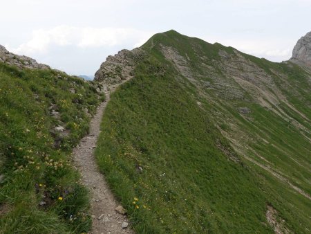 On poursuit sur le fil aérien vers le Pointe de Balafrasse.