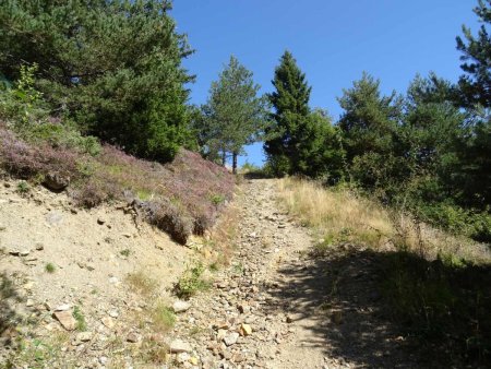 Large piste charretière sur les premiers 100 mètres de dénivelée