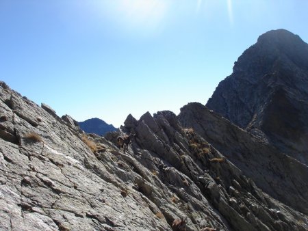 Arrivée sur l’arête !