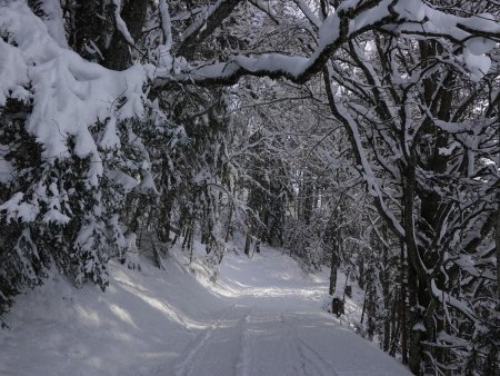 On commence tranquillement sur la route enneigée...