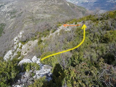 Le seul passage «en broussailles» en quittant l’antécime.