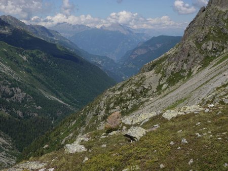 Au dessus du vallon de Bérard.