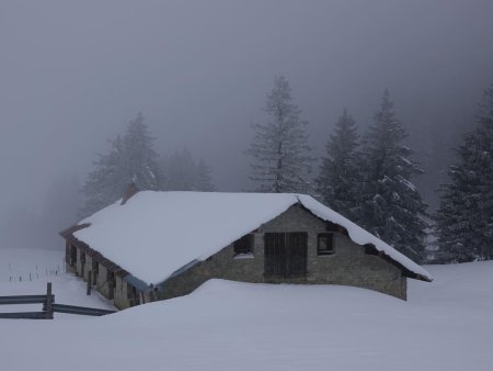 Au chalet du Plan.