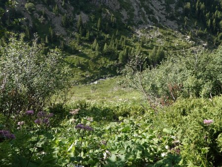 Après la traversée de quelques vernes, on débouche finalement sur les pentes inférieures.