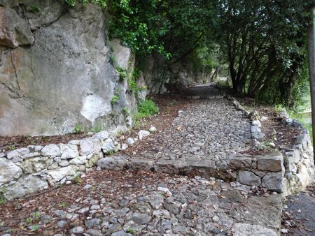 Au cours de la montée à la Turbie