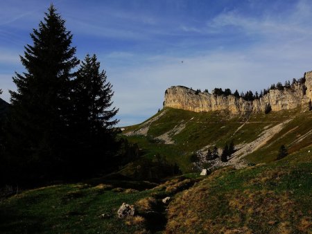 Dans le rétro.