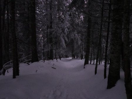 On termine tranquillement à la nuit tombante.