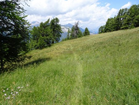 Sentier de descente vers le vallon du Clocher