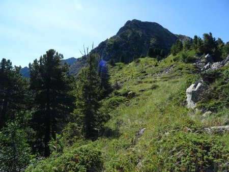 A la fin de la crête, on arrive aux pelouses de végétations basses qui annoncent l’objectif visé.